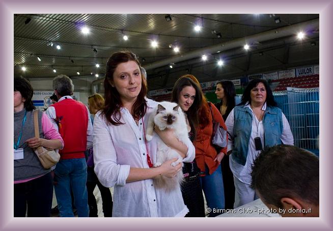 Sei già all'ultima foto